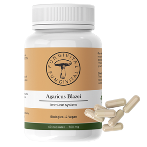 Agaricus Blazei Paddenstoelen Supplement Immuunsysteem